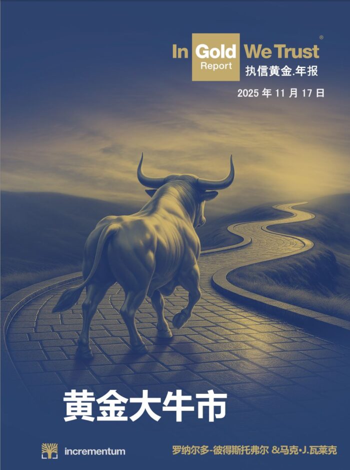 IGWT Cover 2025 CN